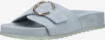 Mule Paul Green en bleu : devant