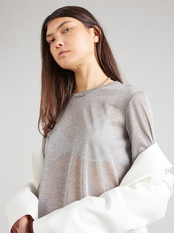 Max Mara Leisure Shirt 'ETRA' in Grau