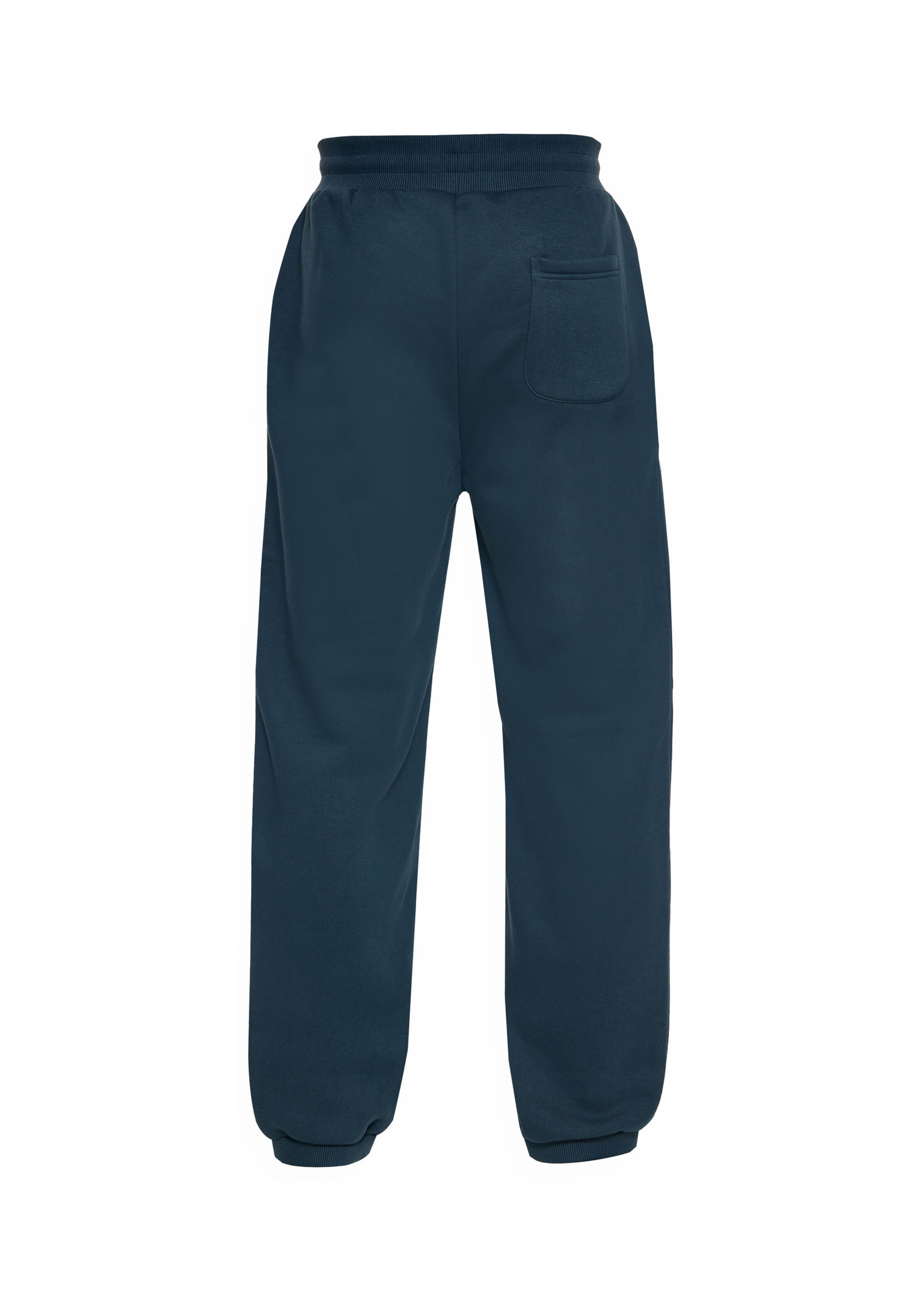 Dropsize Regular Broek in Groen