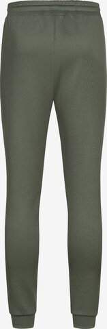 Ordinary Truffle Regular Pants 'Blaer' in Green