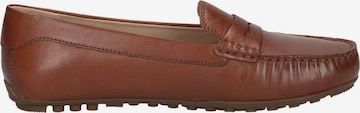 CAPRICE Moccasins in Brown