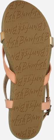 Blowfish Malibu Sandalen in Beige