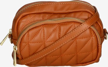 Gave Lux Clutch in Brown: front