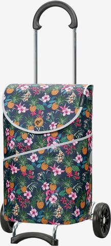 Andersen Shopper Trolley 'Scala Shopper MIX A10 ' in Gemengde kleuren: voorkant