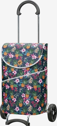 Trolley 'Scala Shopper MIX A10 ' di Andersen Shopper in colori misti: frontale