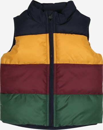 GAP Vest in Mixed colours: front