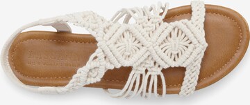 LASCANA Teenslipper in Beige