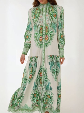 Hiccup Kleid in Grün