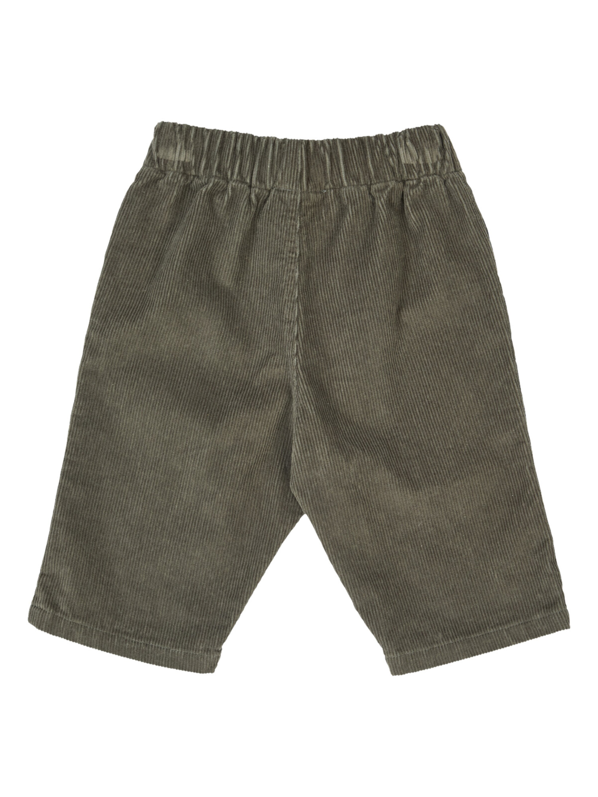 Müsli by GREEN COTTON Regular Shorts in Grün