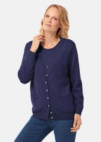 Goldner Sweater in Blue: front