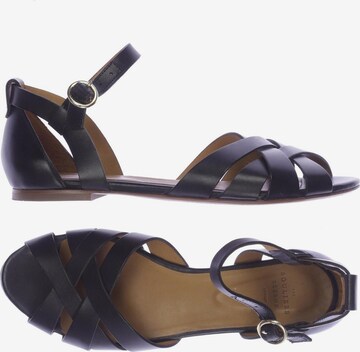 Sèzane Sandals & High-Heeled Sandals in 40 in Black: front