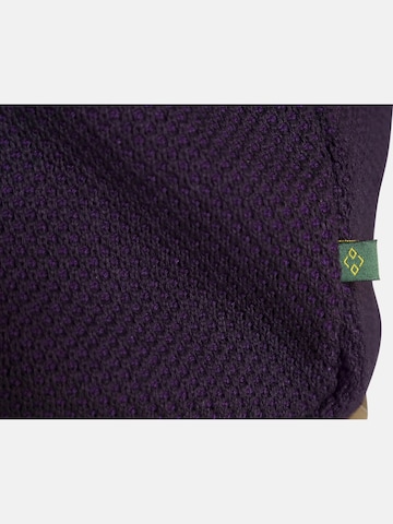 Charles Colby Sweater Vest 'Earl Macsen' in Purple