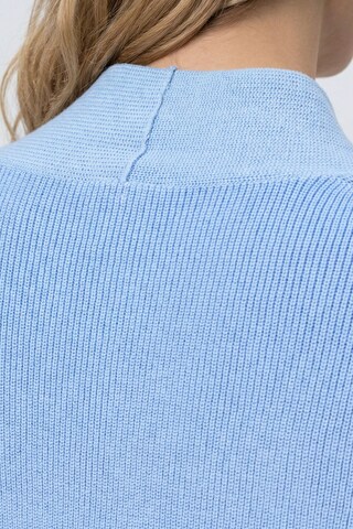 Ulla Popken Sweater in Blue