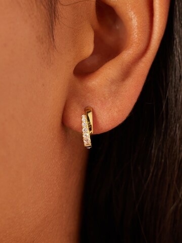 Lucardi Earrings in Gold: front