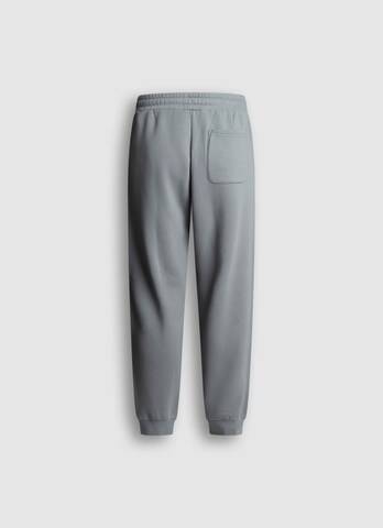 CONVERSE Regular Hose in Grau