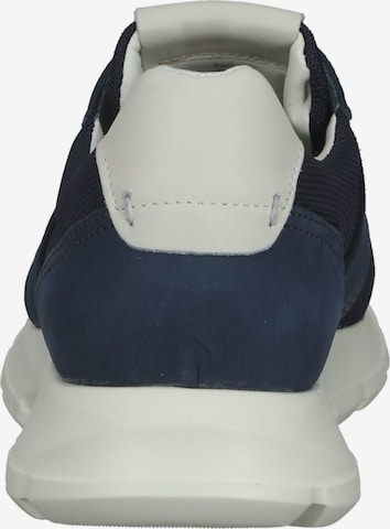 Sneaker bassa di BRAX in blu