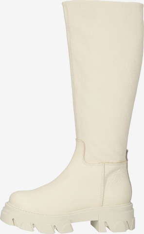 Bottes STEVE MADDEN en beige