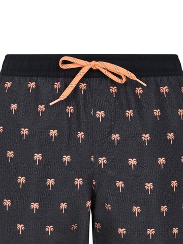 PROTEST Swimming shorts 'PRTParco' in Grey