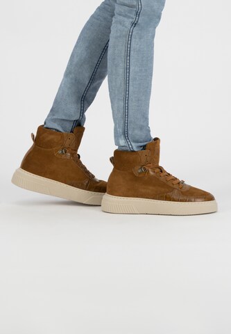 NoGRZ High-Top Sneakers in Brown: front