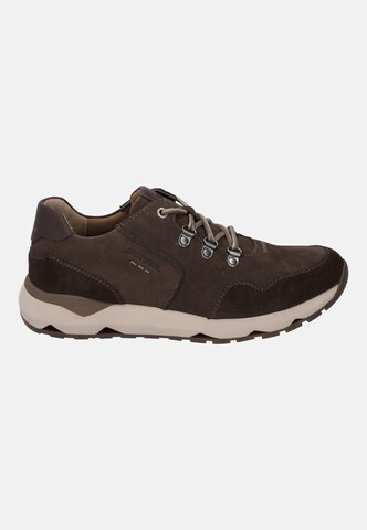 JOSEF SEIBEL Sneaker in Braun