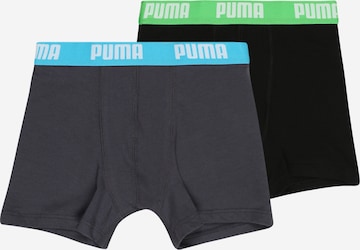 PUMA Underpants in Blue: front