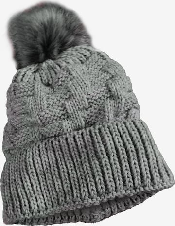 HotSquash Beanie in Grey: front