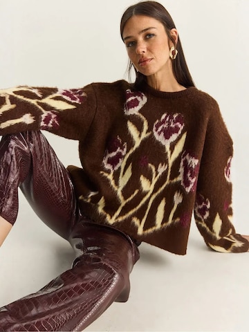 Bianco Lucci Pulover 'Pullover' | rjava barva: sprednja stran