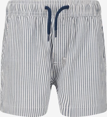 ZigZag Board Shorts 'Arvin' in Blue: front