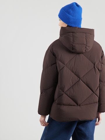 Someday Talvejope 'Vortea', värv pruun