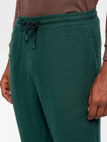 Coupe slim Pantalon Antioch en vert