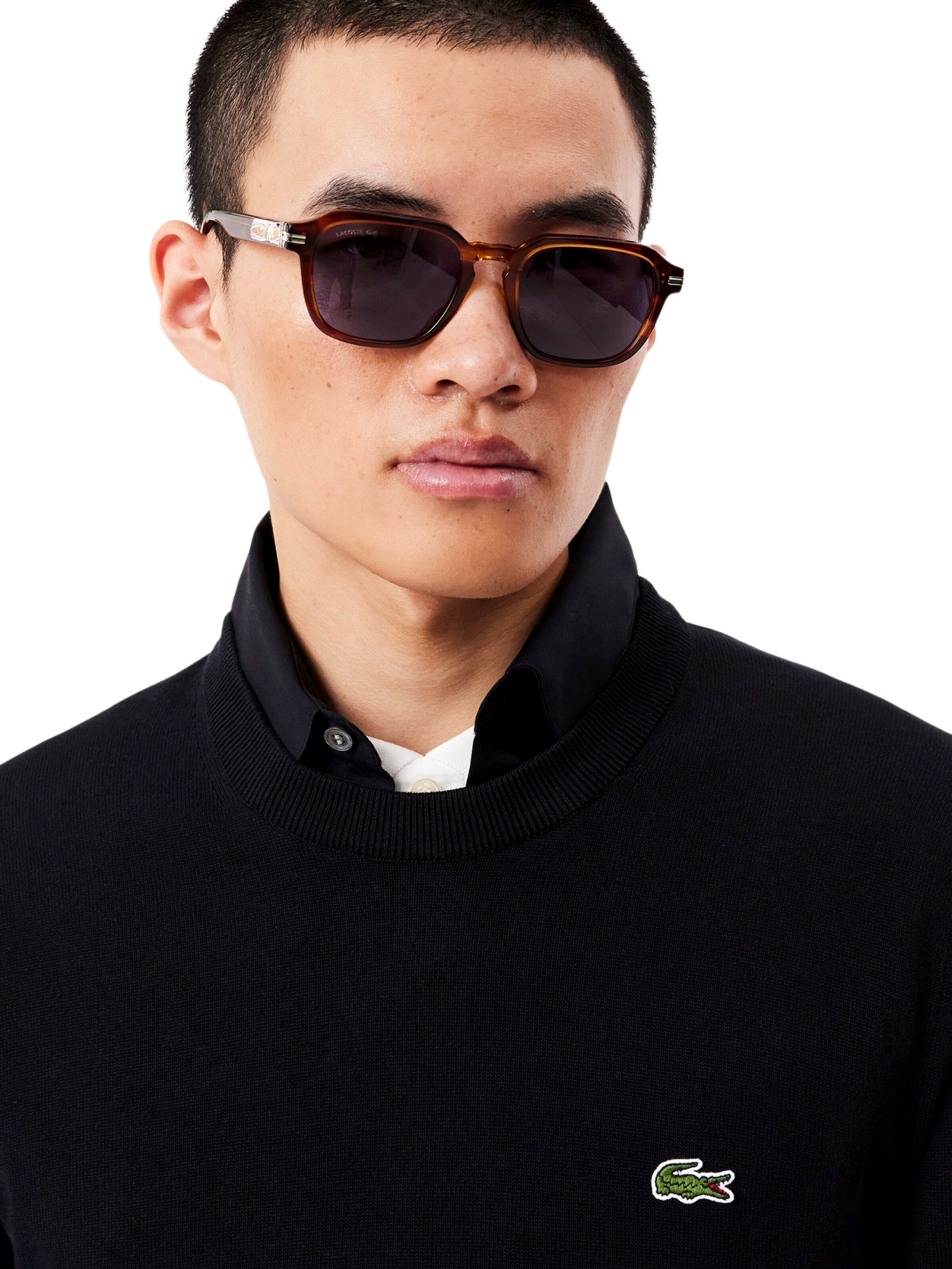 LACOSTE Sweatshirt in Schwarz