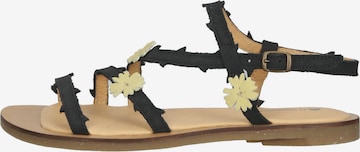 EL NATURALISTA Strap Sandals in Black