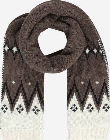 Weekend Max Mara Scarf 'VALICO' in Brown: front
