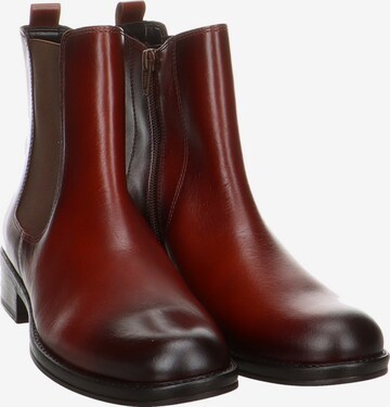 GABOR Chelsea boots in Bruin