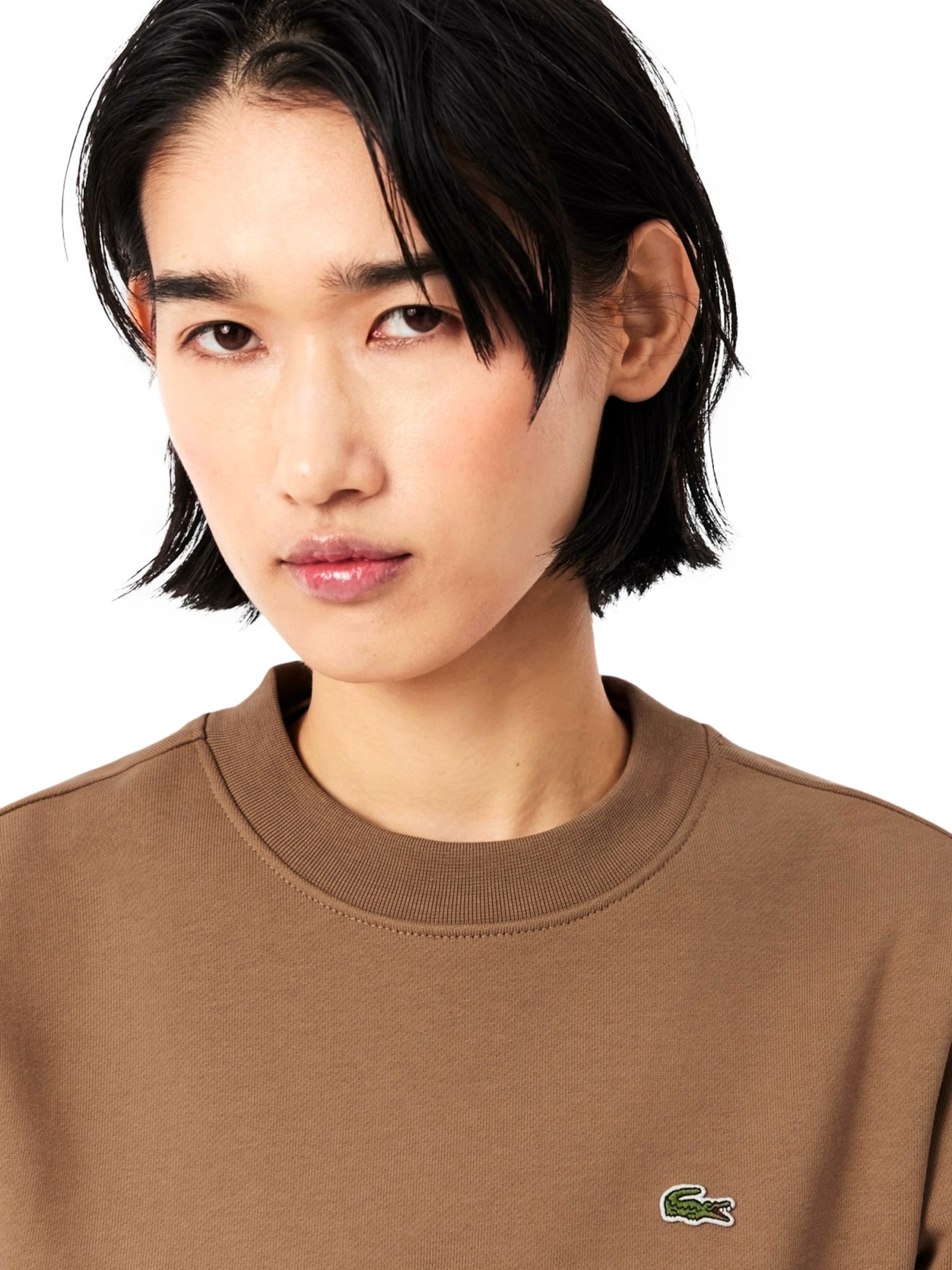 LACOSTE Sweatshirt in Bruin