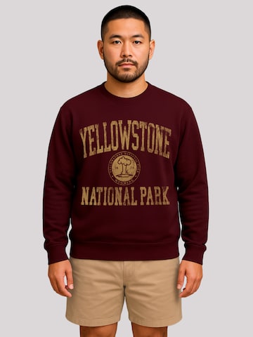 Sweat-shirt 'US National Parks Yellowstone Wyoming' F4NT4STIC en rouge : devant