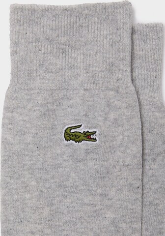 LACOSTE Socken in Grau