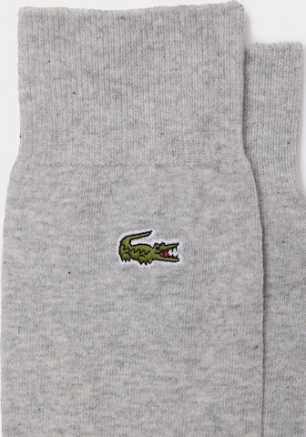 LACOSTE Socks in Grey