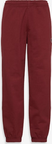 raudona Calvin Klein Jeans Siaurėjantis Kelnės 'Terry': priekis