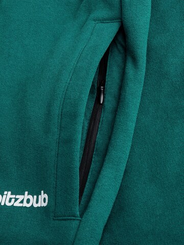 SPITZBUB Regular Pants 'Ludis' in Green