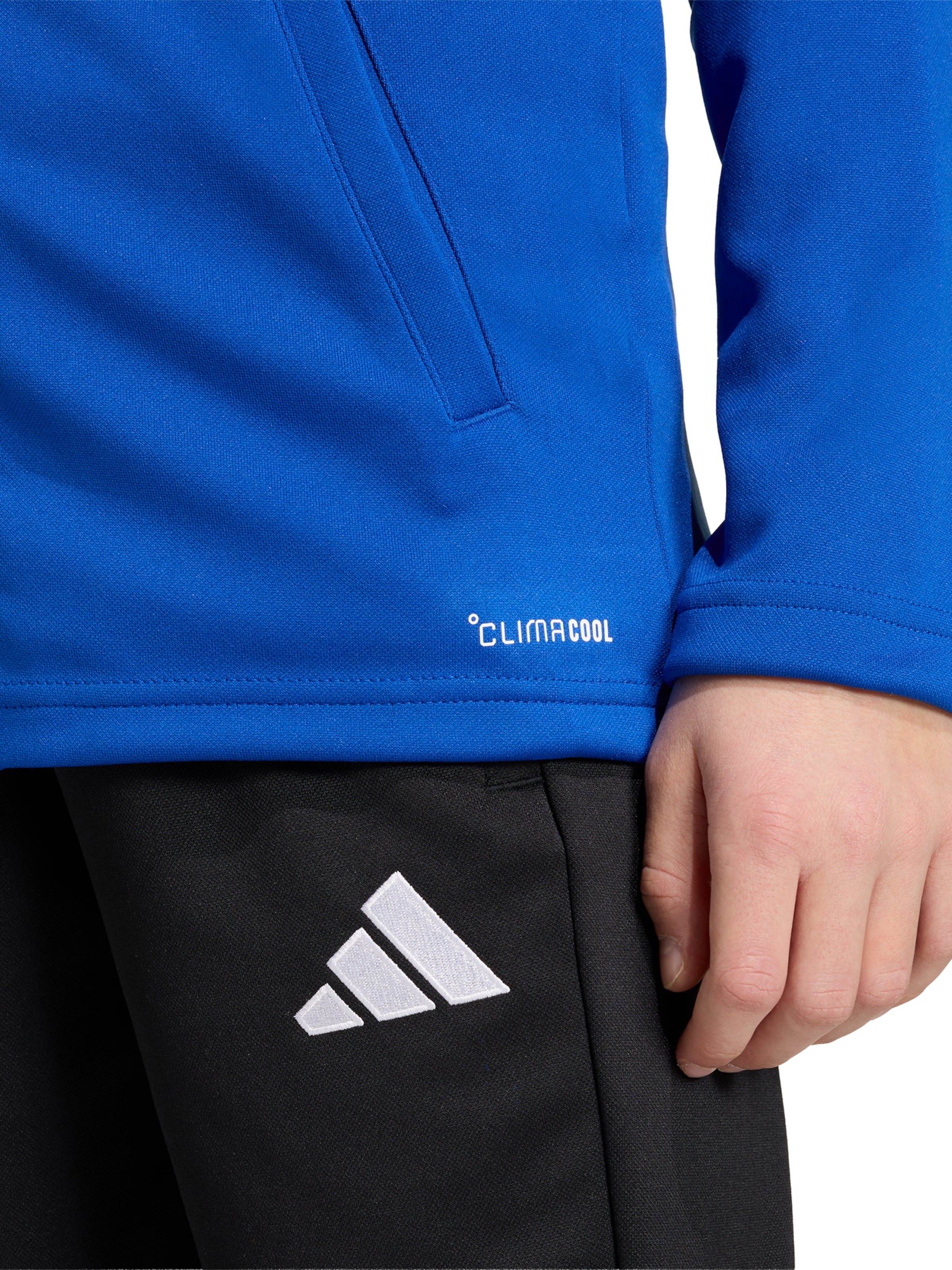 ADIDAS PERFORMANCE Спортивная кофта 'ENT26' в Синий