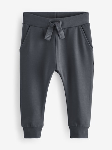 Tapered Pantaloni di Next in grigio