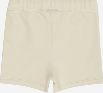 Calvin Klein Jeans Regular Shorts in Grün