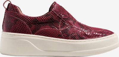 Batai be raištelių iš Next, spalva – vyšninė spalva, Prekių apžvalga