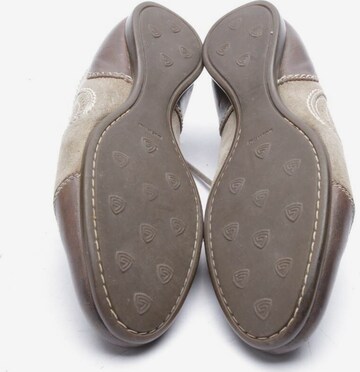 Attilio Giusti Leombruni Flats & Loafers in 37,5 in Mixed colors