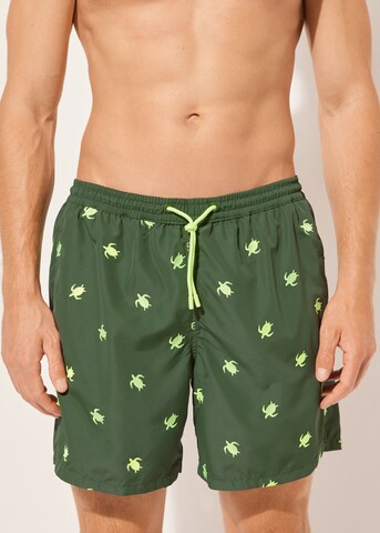 CALZEDONIA Regular Board Shorts in Green: front