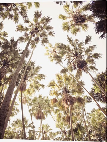 Liv Corday Bild  'Palm Tree' in Grau: predná strana