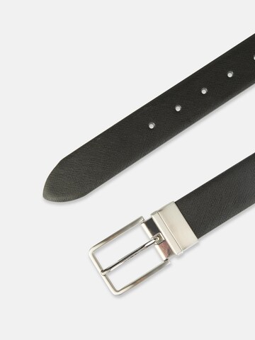 Lloyd belts Belt in Mixed colors