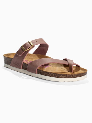 Bayton Japonke 'DIANE' | rjava barva