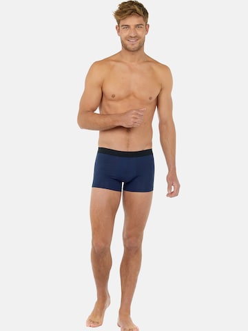 HOM Boxershorts ' Boxer Tonal Pack No2 ' in Blauw
